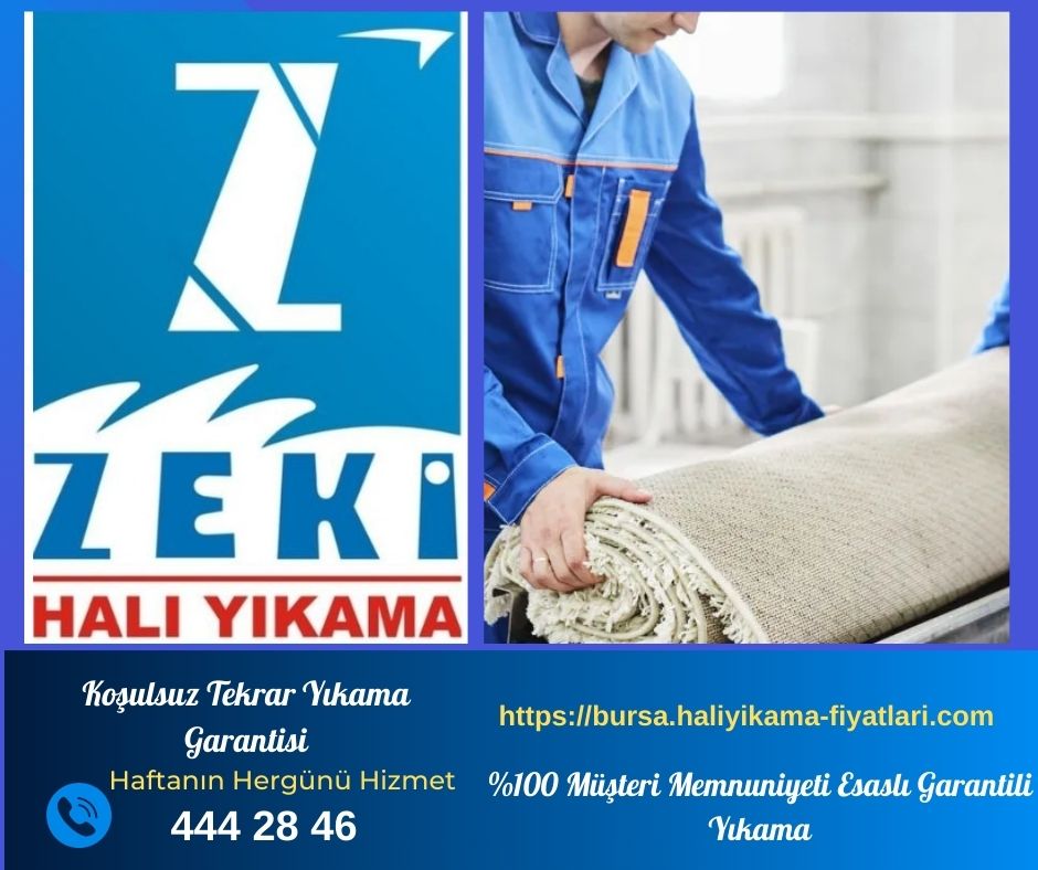 hali yikama fiyatlari